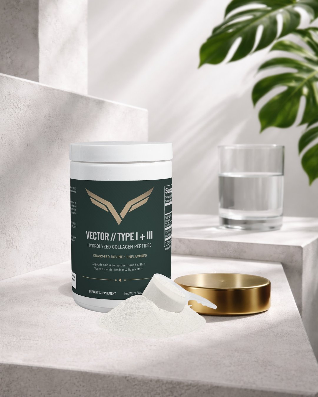Does Hydrolyzed Collagen Support Skin Health and Reduce Signs of Aging? What Research Shows