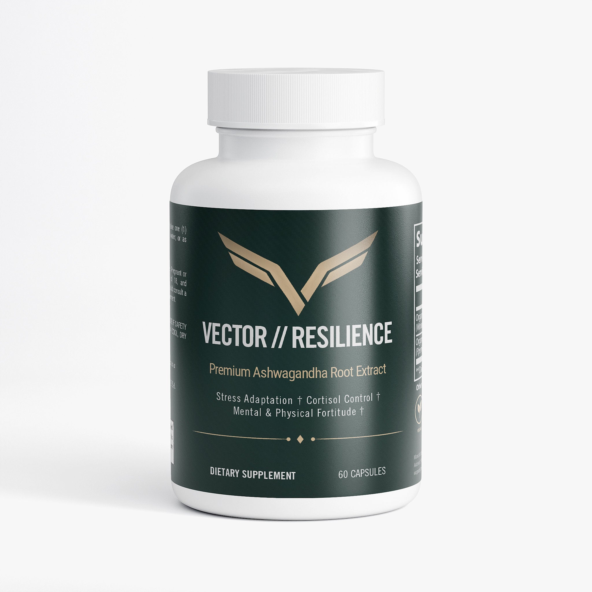 Vector // Resilience